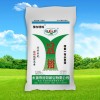 特制一等小麥粉