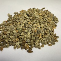 苦蕎脫殼成套設備