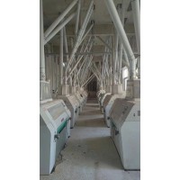 出售250噸面粉機設備，含整套配粉倉，成色新，價格優，整套分拆都可以